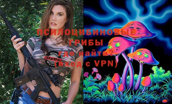 spice Беломорск