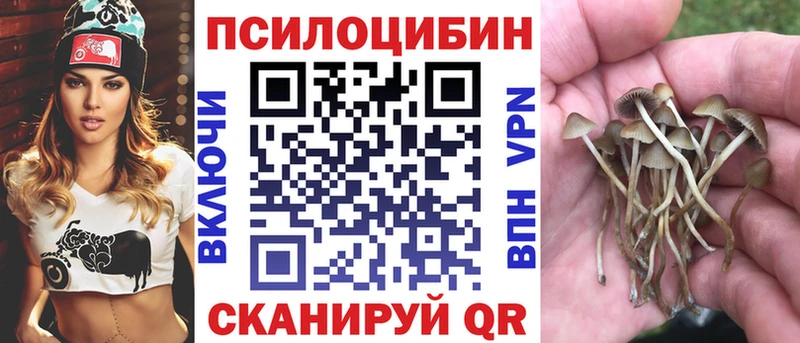 продажа наркотиков  Яранск  Галлюциногенные грибы ЛСД 