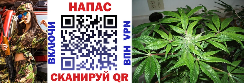 Шишки марихуана индика  Яранск 